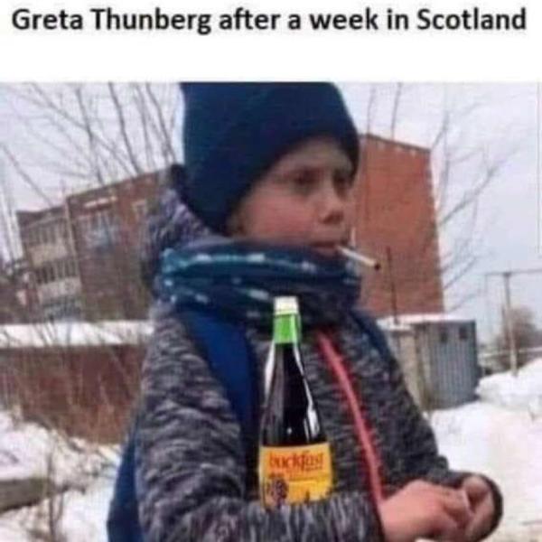 COP 26