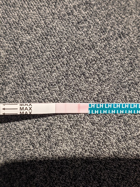 Positive OPK?