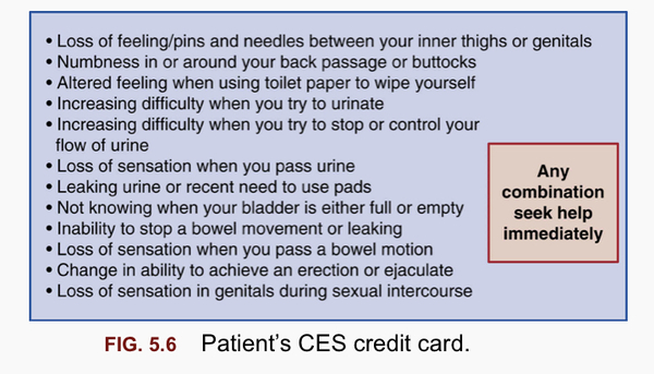 What to do when you hurt your back so bad it hurts to move your legs