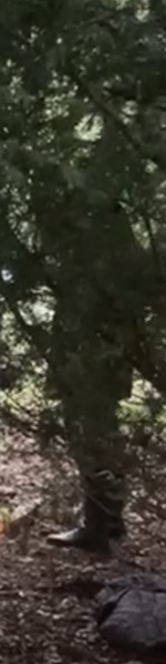 Can someone explain what my son saw?