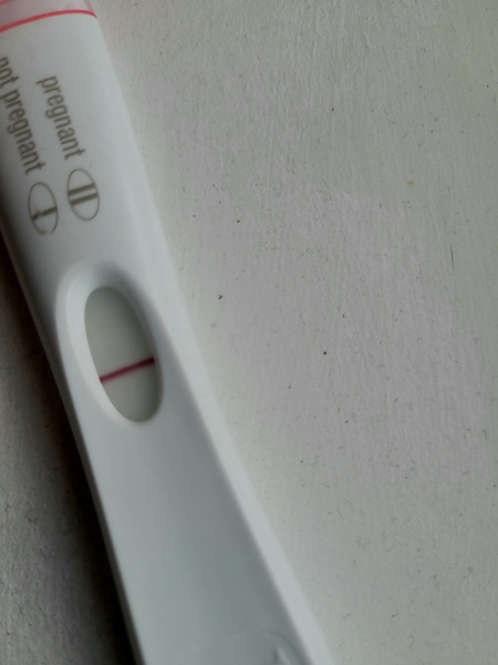 Ovulation after miscarriage