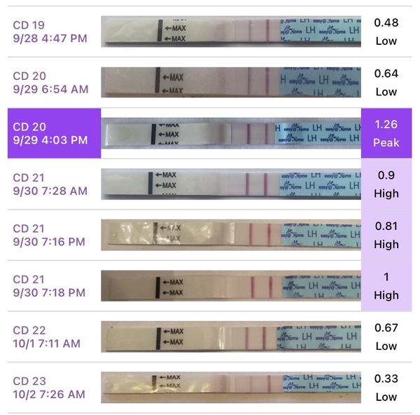 7 high days opk no peak yet!