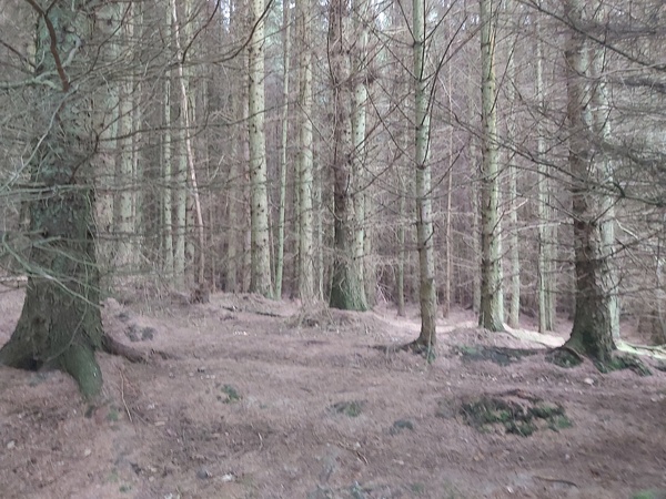 Creepy, odd places you have been