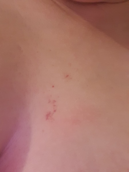 Any idea what this is?