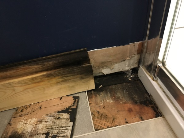 Mould/ damp caused by shower leak