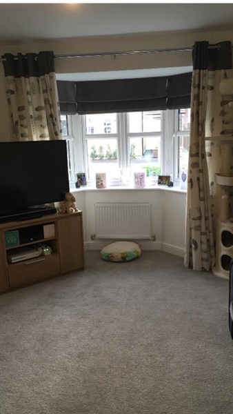 If you have a bay window…