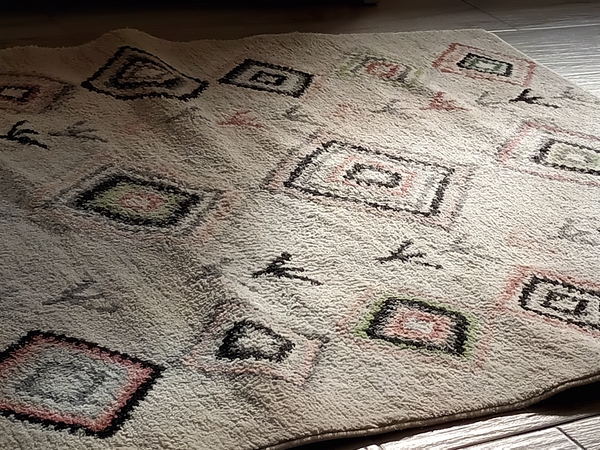 How to clean sofas and rugs without calling in a professional company?