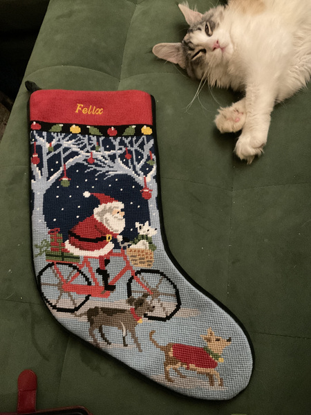 Christmas stocking?
