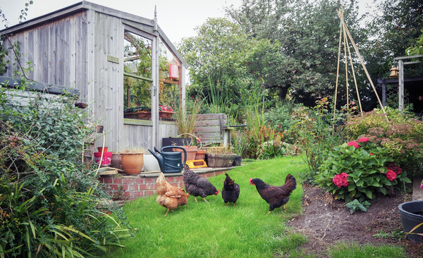 Can I see inside your greenhouse please?