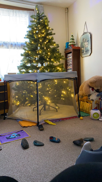 Keeping toddlers away from the tree