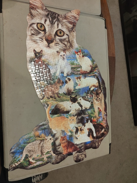 Anyone fancy a new jigsaw thread?