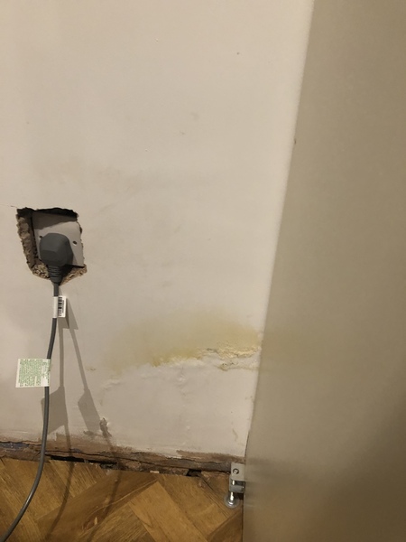 Damp wall - Pigletjohn?