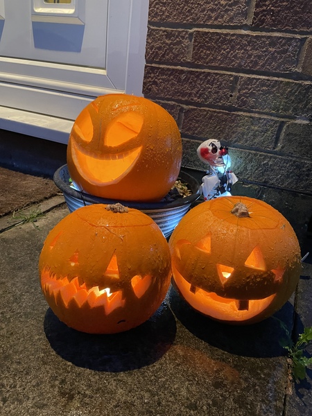 Is there a show us your pumpkins thread?