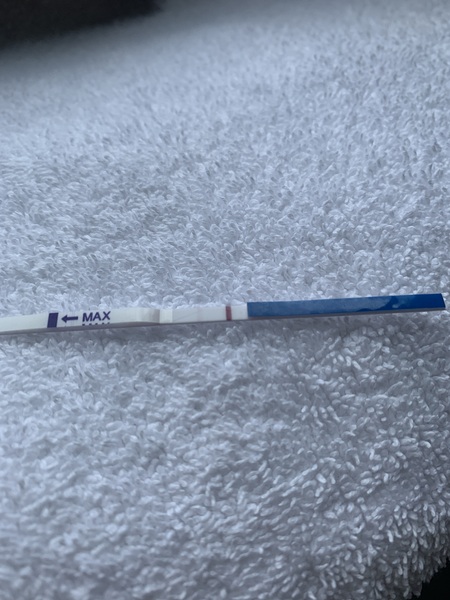 Lines at 13dpo?