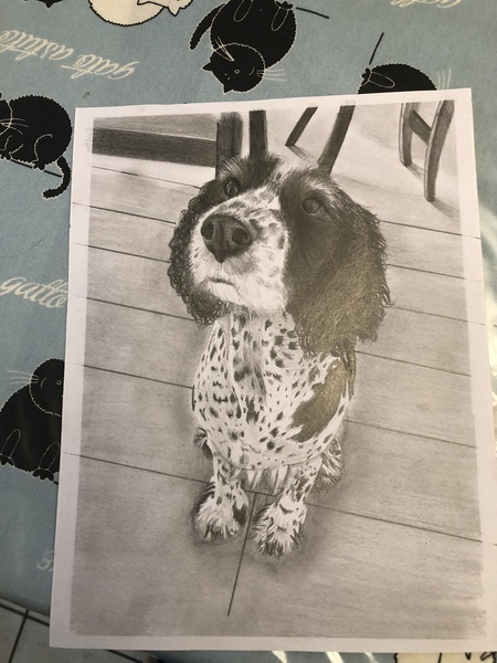 Who fancies a lovely thread filled with dogs?