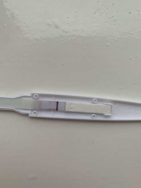 Anyone else just got their BFP?