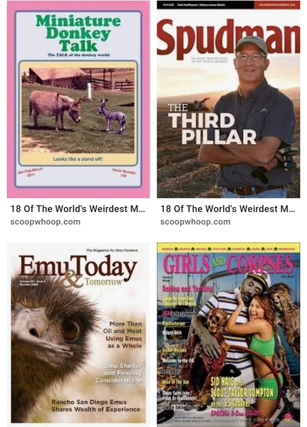 Terrible Christmas present ideas.