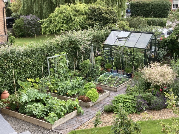 Can I see inside your greenhouse please?