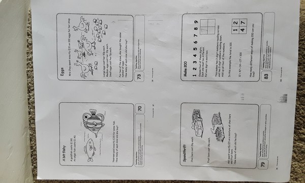 Year 6 Maths Homework Help Please!