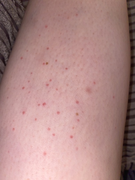 Can anyone tell me what this is?