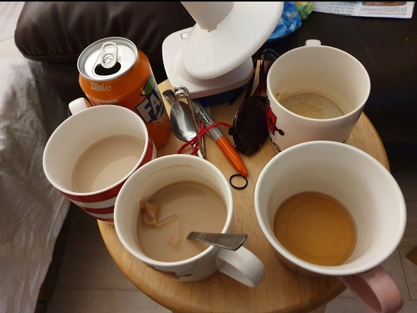 Cups used once don't go in the dishwasher!