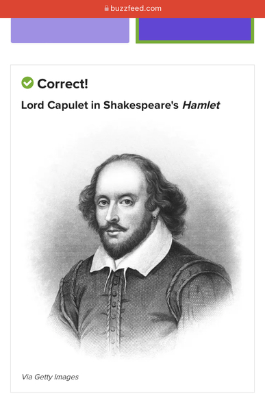 to think Taylor Swift is our century's answer to William Shakespeare