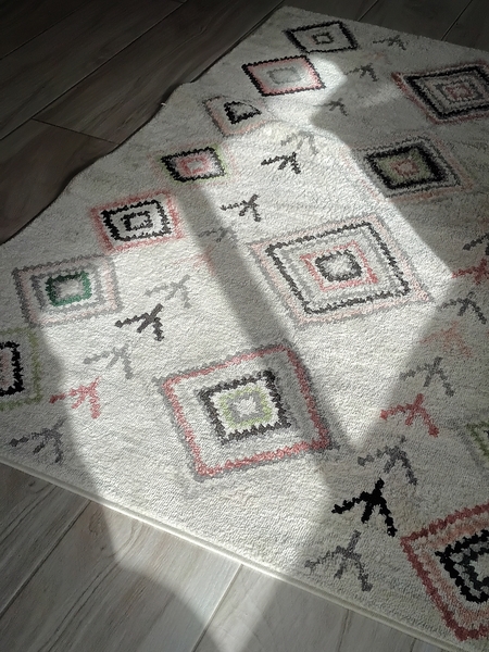 How to clean sofas and rugs without calling in a professional company?