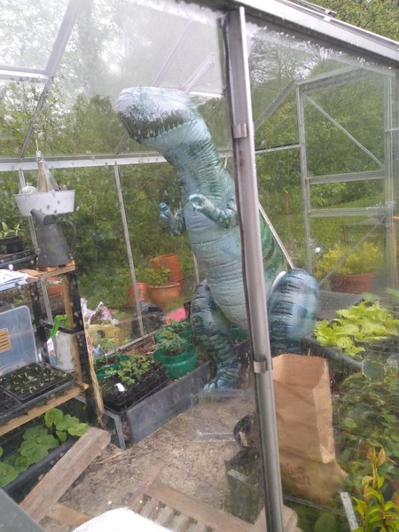 Can I see inside your greenhouse please?