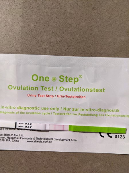 Would you consider this a Positive OPK?