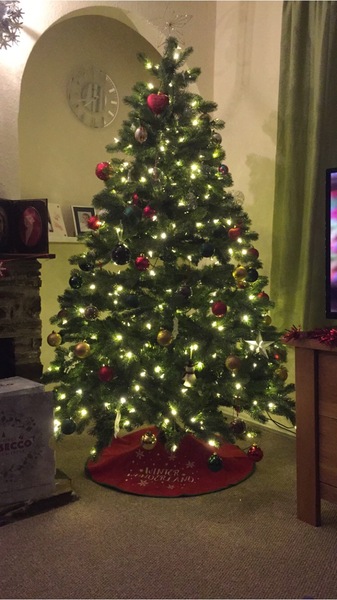 Christmas Tree Suggestions