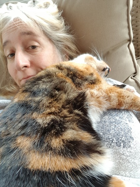 Help!  I'm trapped under a cat