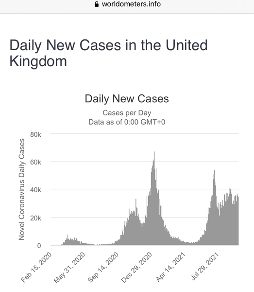 Covid vaccine passport. It’s going ahead.