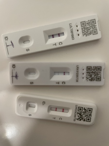 New Flow Flex lateral flow tests v the old style ones?!