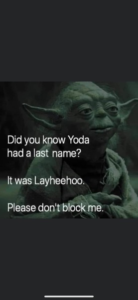 AIBU to miss silly meme threads?