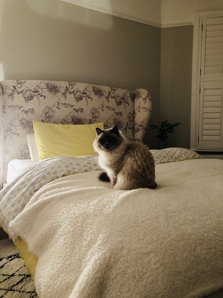 To ask what your bedroom looks like?