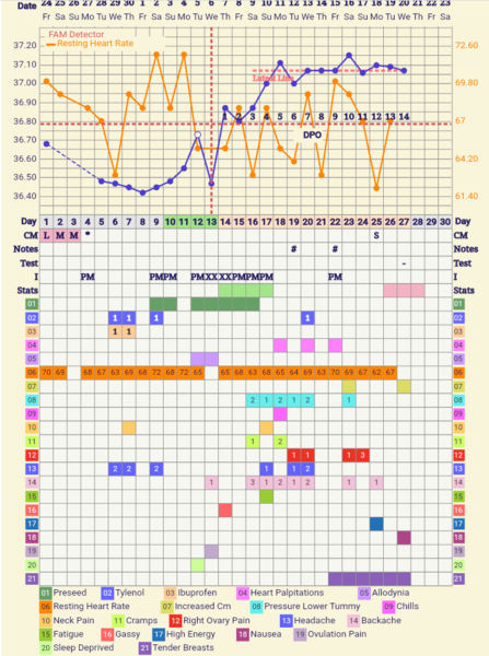 14DPO, BBT still high, BFN's