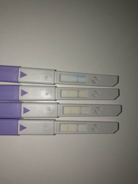 Anyone else ttc #2?