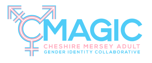 Abigail Shrier - Marci Bowers - critical of puberty blockers