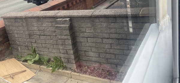 Ideas on what to do with garden wall (pic included)
