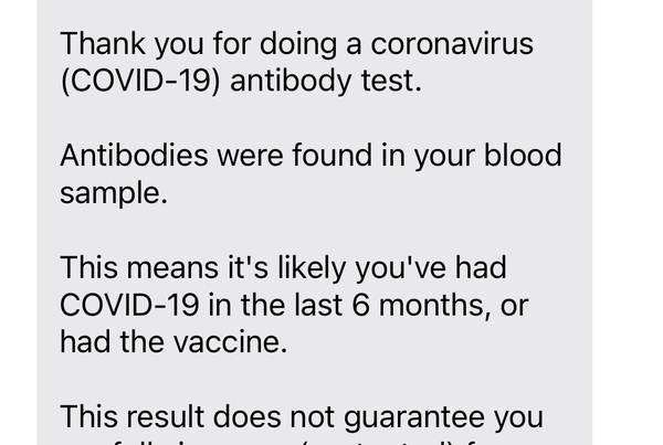Anyone else had the antibody tests after Covid ?