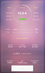 New You plan - aiming for 3 stone by Christmas