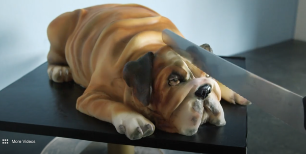 AIBU to be disappointed in this cake…