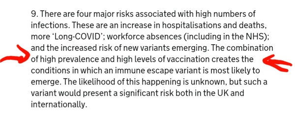 Where are the new variants?...