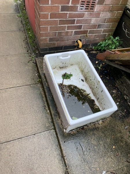 Has anyone made a wildlife pond?