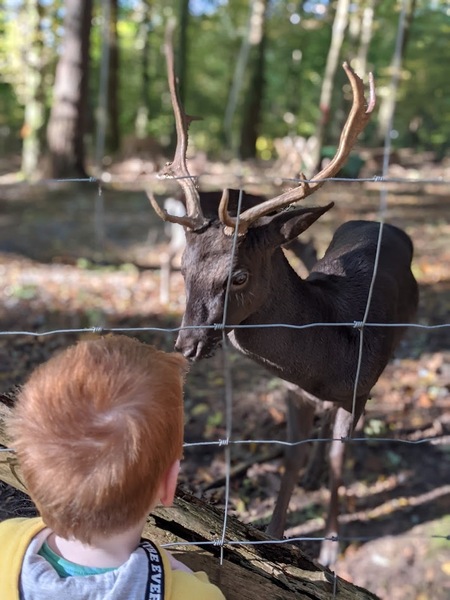 Trapped toddler parents: Inspiration and support needed through the summer hols!!