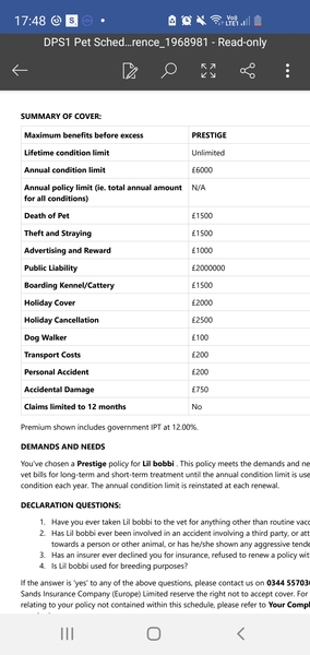 Can anyone help me with the initial healthcare costs of a kitten?