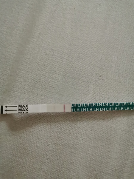 Anyone else ttc #2?