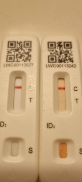 Could blood on the swab cause a false positive LFT?
