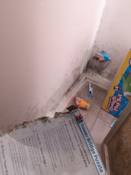 Mould on bedroom wall