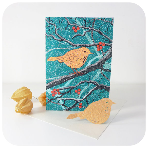 Looking for lovely Christmas cards